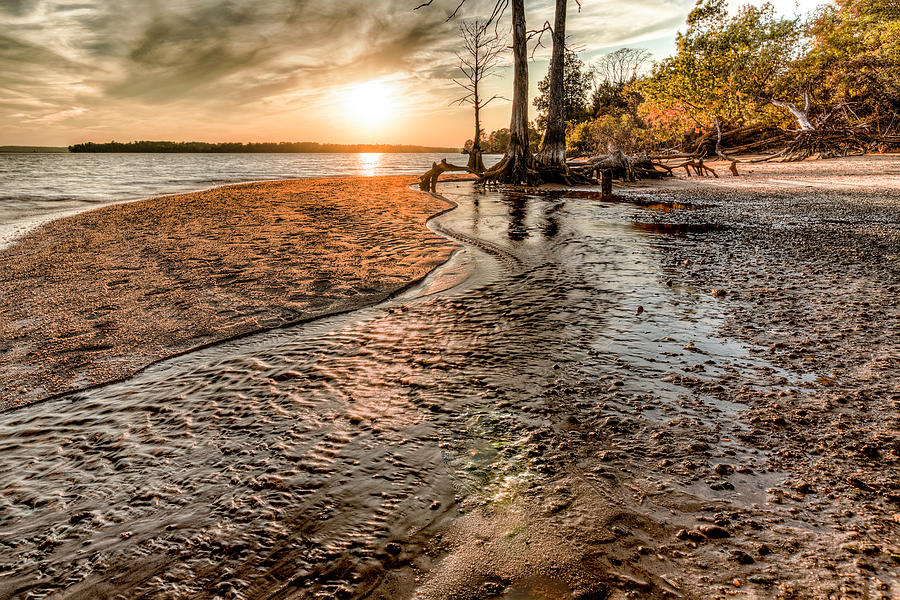 Sunset Photograph - Autumnal Sunset by Pete Federico