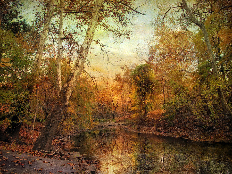 Autumnal Tones Photograph by Jessica Jenney