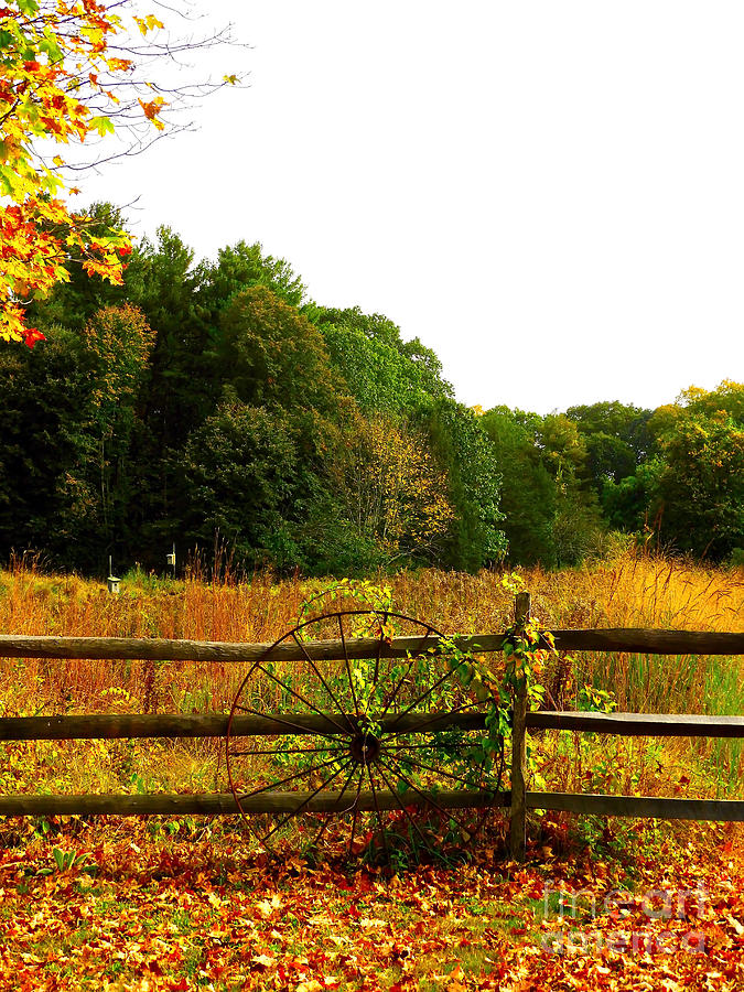 Autumnal Wagon Wheel Vertical Photograph by Beth Myer Photography