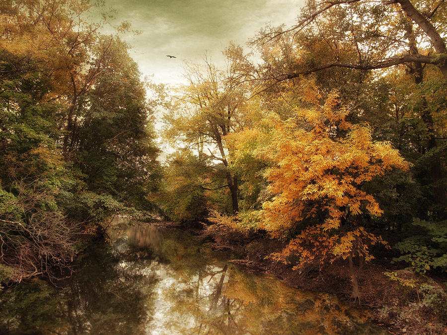 Autumns Allure  Photograph by Jessica Jenney