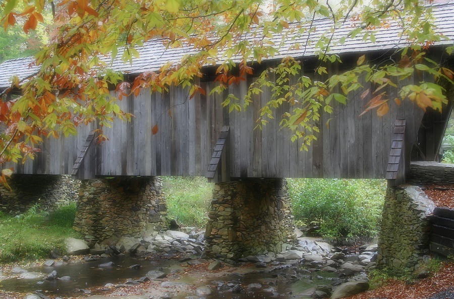 Autumns Bridge Photograph by Karol Livote