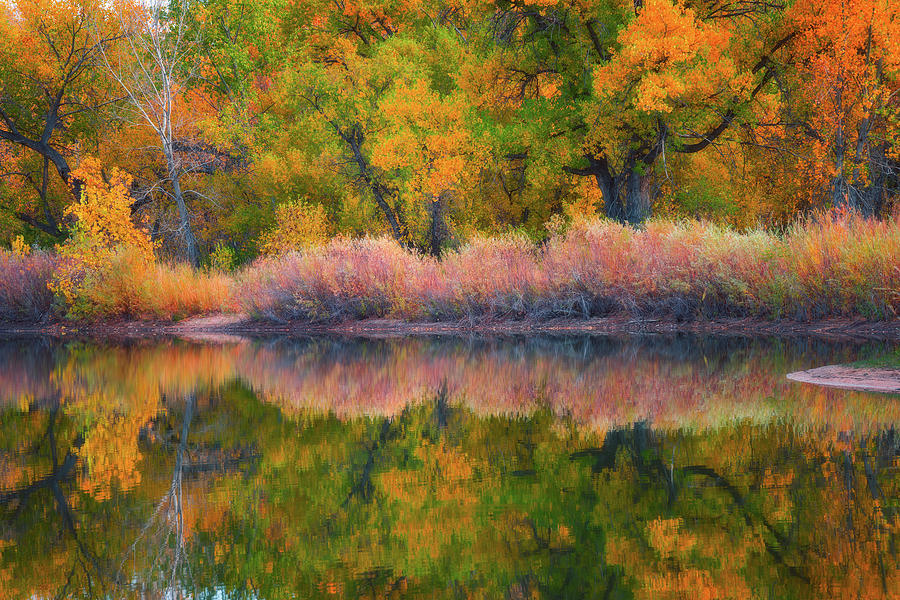 Autumns Color Palette  Photograph by Darren White