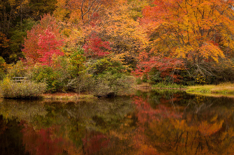 Autumns Colorful Reflection North Carolina Photograph by Terry DeLuco