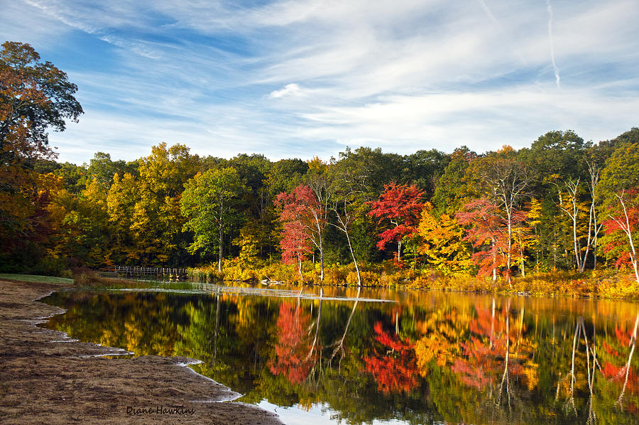 Autumns colors Photograph by Diane Hawkins - Fine Art America