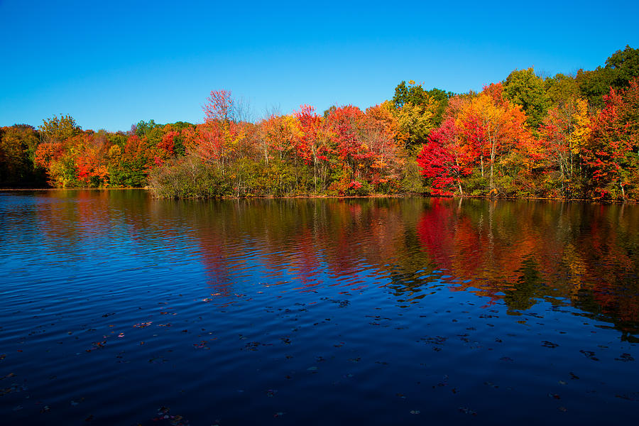 Autumns Colors Photograph by Karol Livote