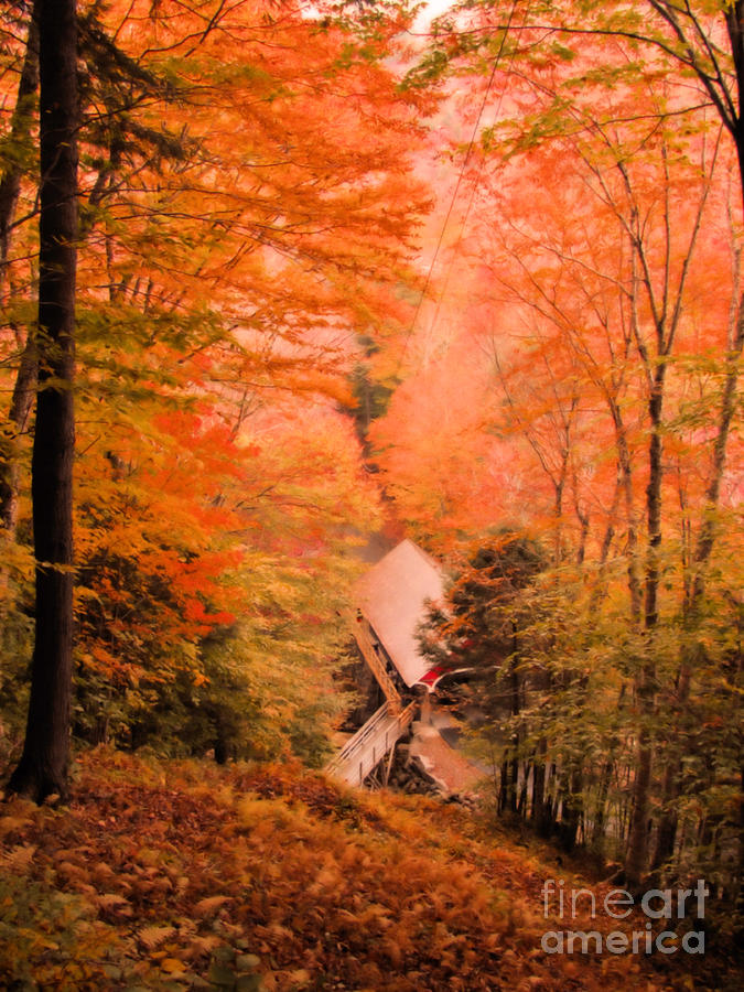 Autumns Covered Bridge Photograph by Elizabeth Dow
