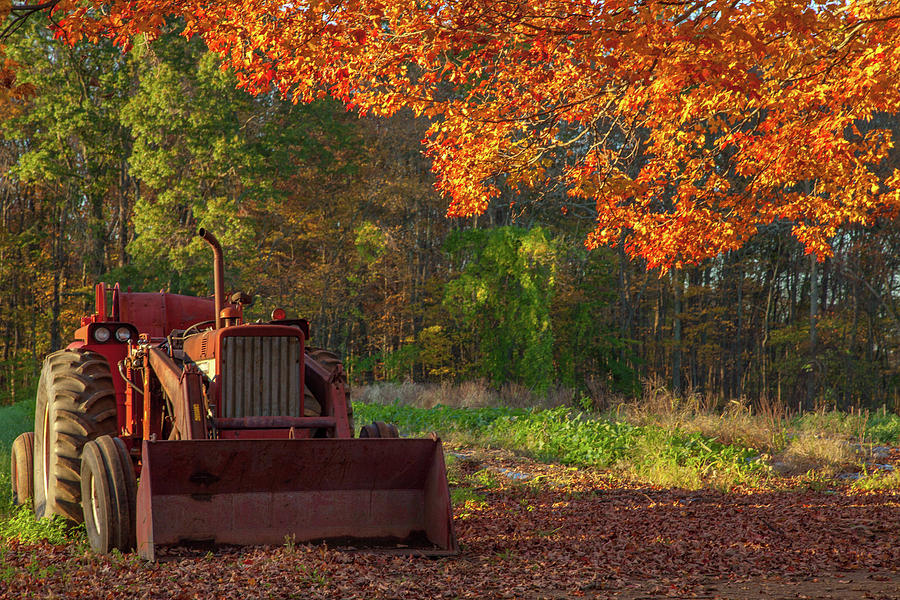 Autumns Farm Photograph by Karol Livote