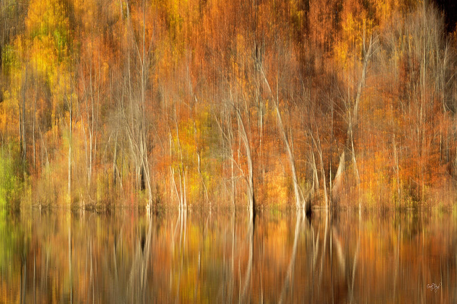 Autumns Final Palette Photograph by Everet Regal