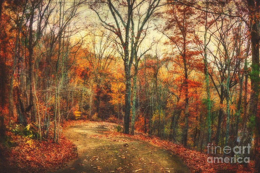 Fall Photograph - Autumns Glow by Joan McCool