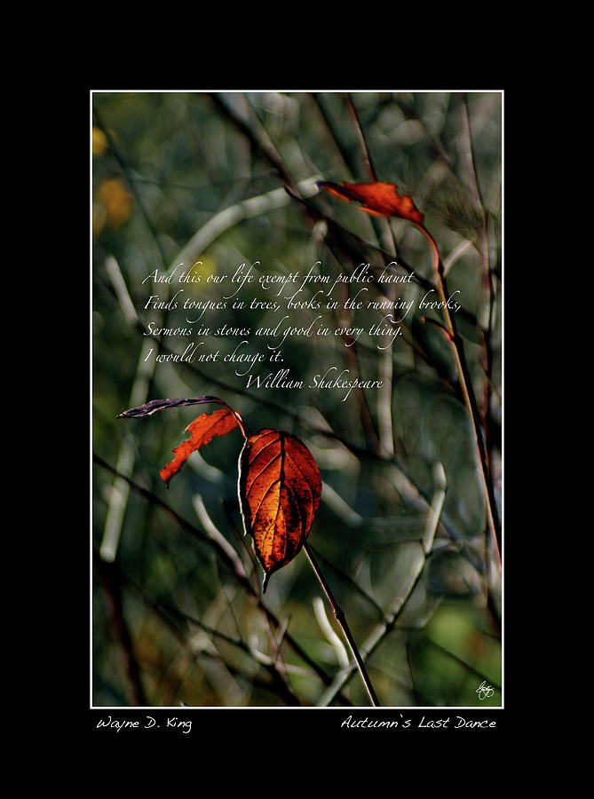 Autumns Last Dance Poster Photograph by Wayne King