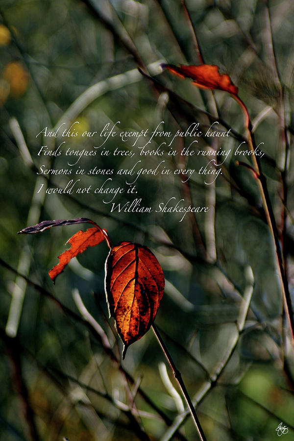 Autumns Last Dance Shakespeare Quote Print Photograph by Wayne King
