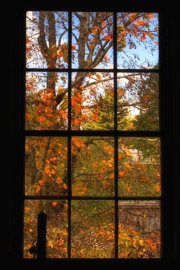 Fall Photograph - Autumns Palette by Joann Vitali