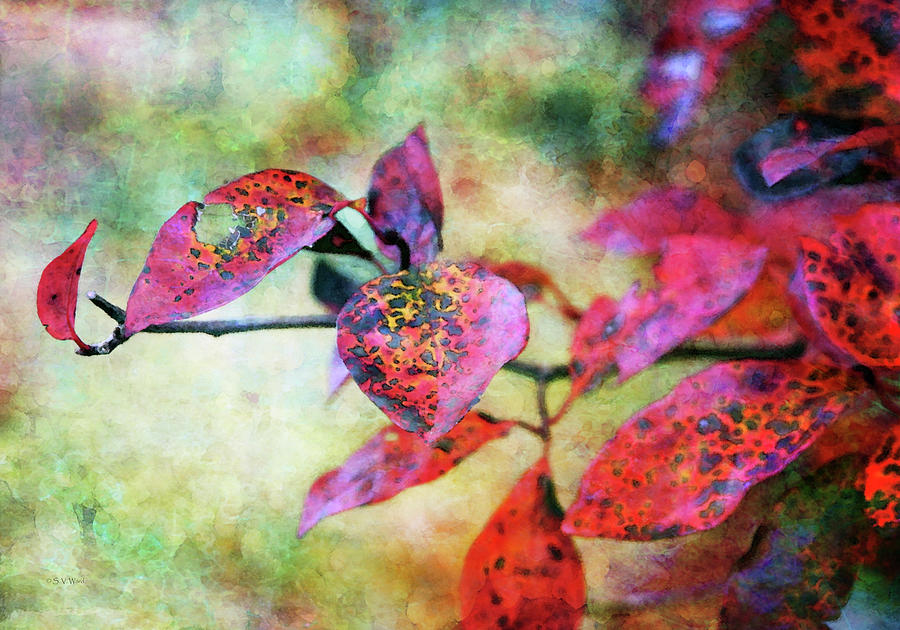 Autumns Red Impression 6607 IDP_2 Photograph by Steven Ward
