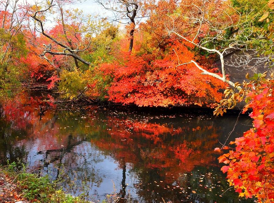 Autumns Carmen River Reflection  Photograph by Stacie Siemsen