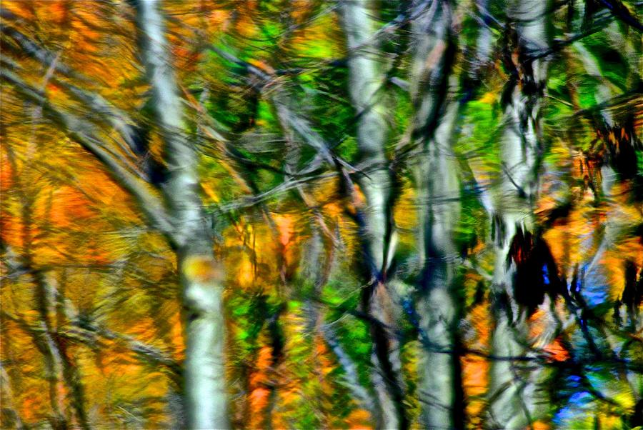 Abstract Photograph - Autumns Spiderweb Reflection by Frozen in Time Fine Art Photography
