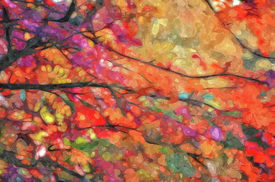 Autumns Splendorous Canvas Photograph by Andrea Kollo
