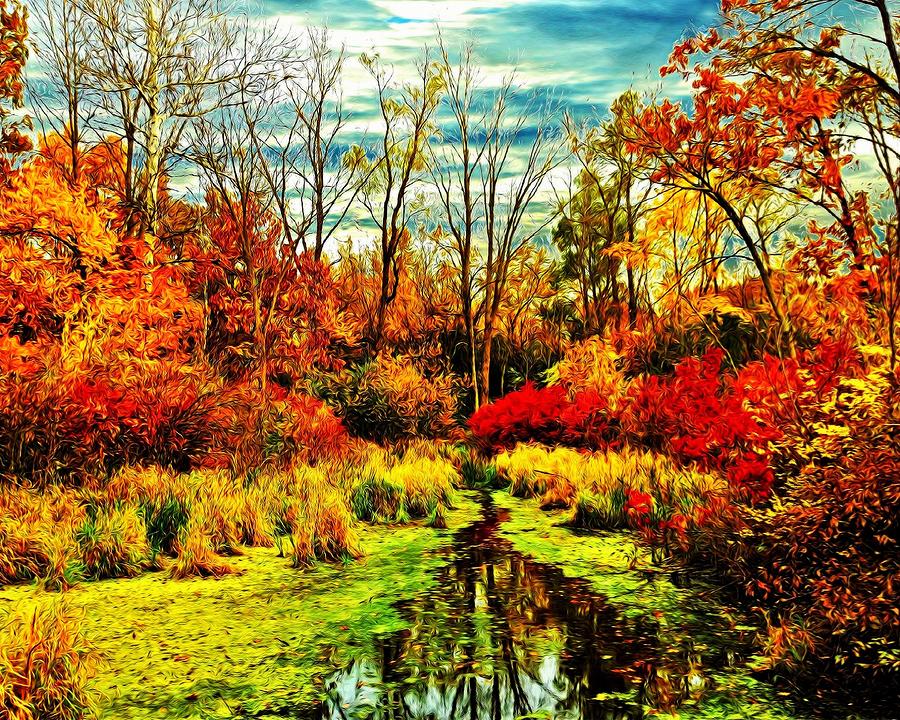 Autumn Bloom Photograph by Charles Duax
