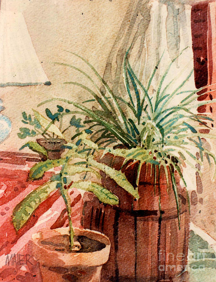 Avacado and Spider Plant Painting by Donald Maier