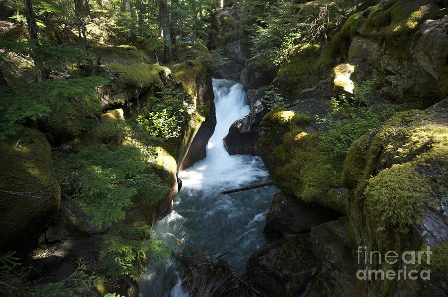 Avalanche Creek Falls Photograph
