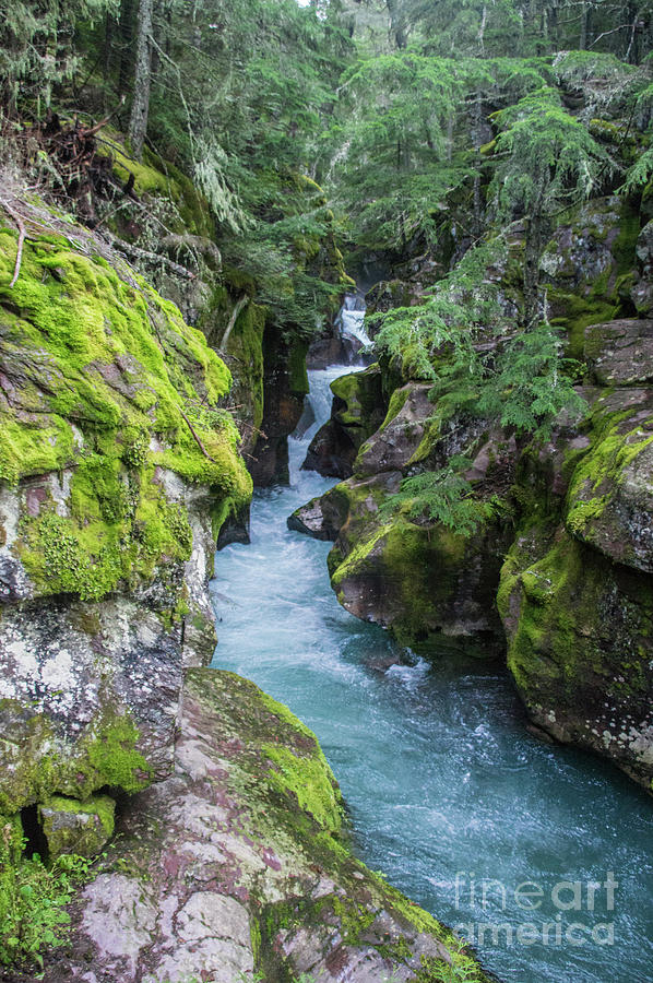 Avalanche Creek, Glacier National Park 3 Photograph by Ellen Nicole ...