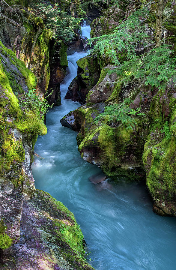 Avalanche Creek Gorge Photograph by Morris McClung