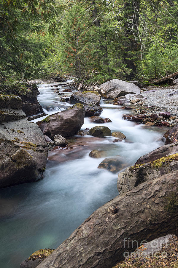 Avalanche Creek Photograph by Jemmy Archer