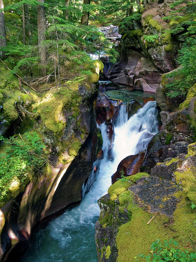 Avalanche Creek Tumbling Photograph by Sally Weigand