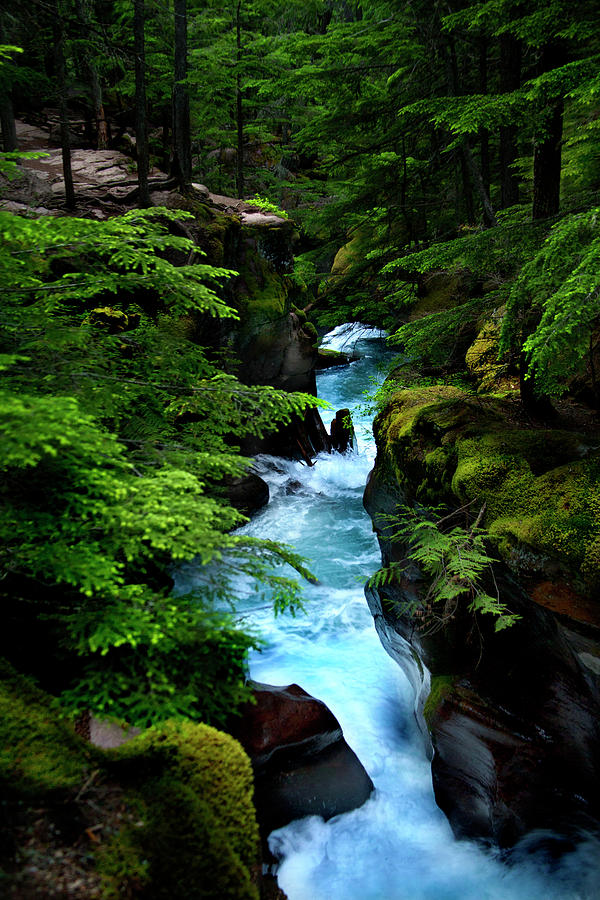Avalanche Creek Waterfalls Photograph by David Chasey