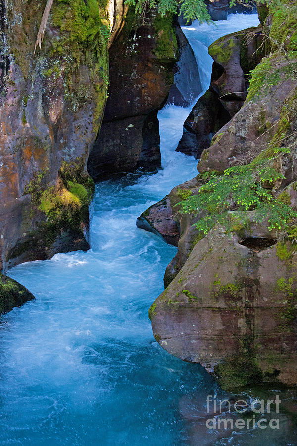 Avalanche Gorge Photograph by Katie LaSalle-Lowery