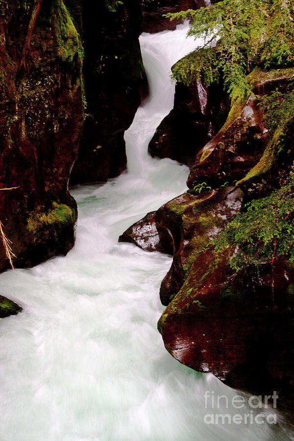 Avalanche Gorge Spring 2 Photograph by Katie LaSalle-Lowery