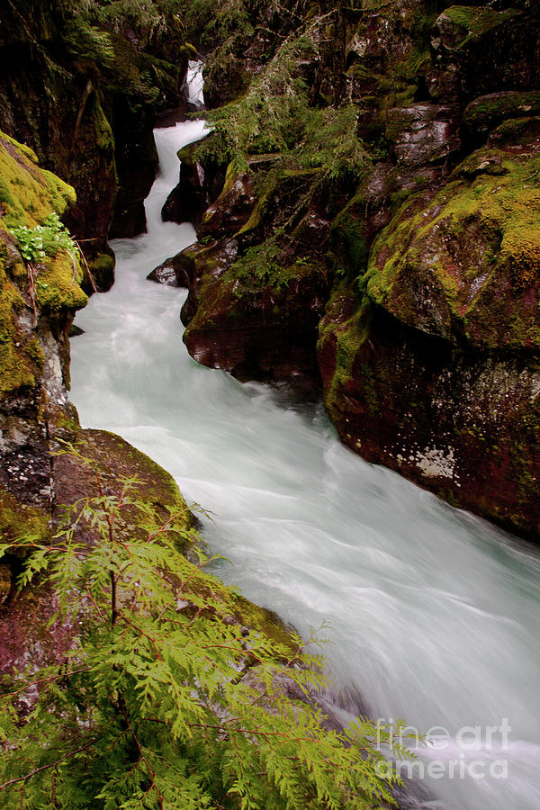 Avalanche Gorge Spring Photograph by Katie LaSalle-Lowery