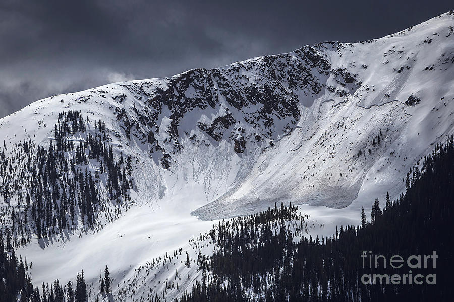 Nature Photograph - Avalanche by Joan McCool