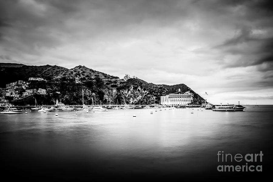 Black And White Photograph - Avalon Bay Catalina Island Black and White Picture by Paul Velgos