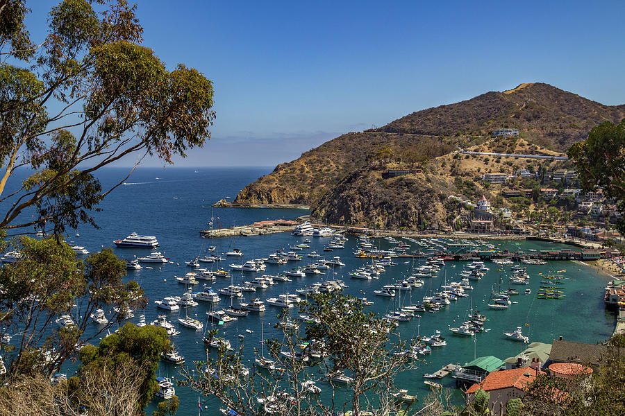 Avalon Bay Photograph by Roslyn Wilkins