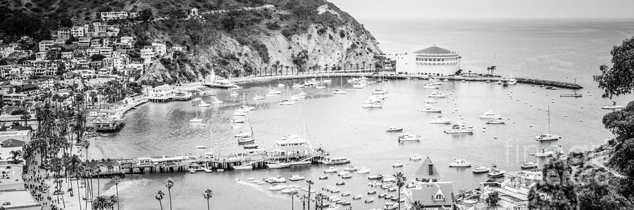 Black And White Photograph - Avalon California Panoramic Picture of Catalina Island by Paul Velgos