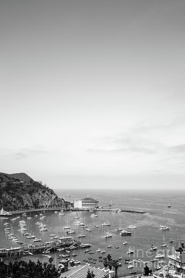 Avalon Harbor Catalina Island Black and White Photo Photograph by Paul Velgos