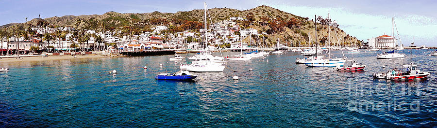Boat Photograph - Avalon Harbor by Michael Moore