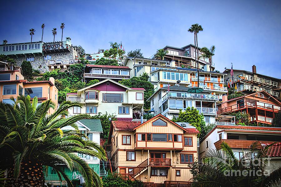 Avalon Hillside with Harbor View Photograph by Norma Warden