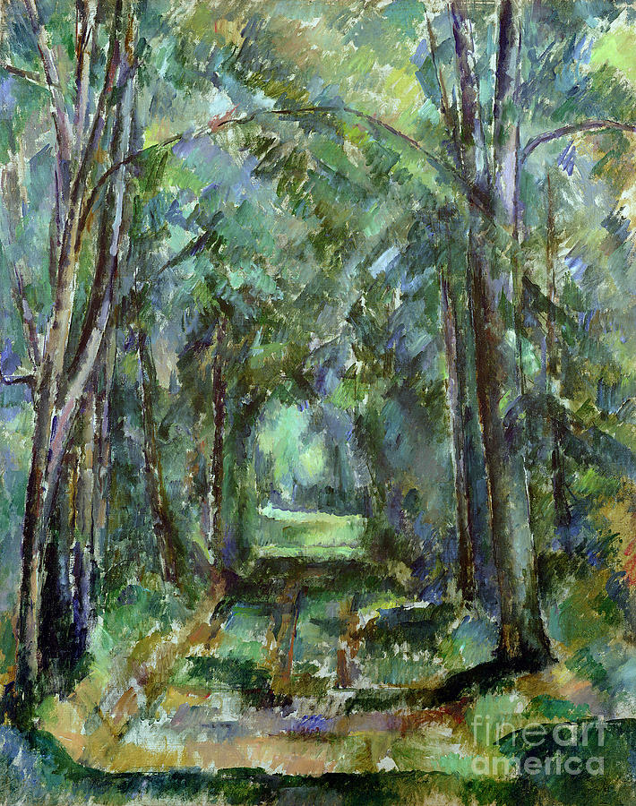 Tree Painting - Avenue at Chantilly by Paul Cezanne