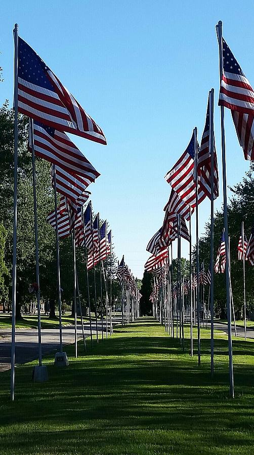 American Flag Photograph - Avenue of flags by Kimberly  W