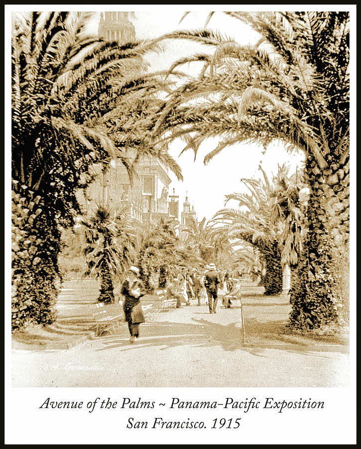 Avenue of the Palms, Panama Pacific Exposition, Vintage Photogra Photograph by A Macarthur Gurmankin