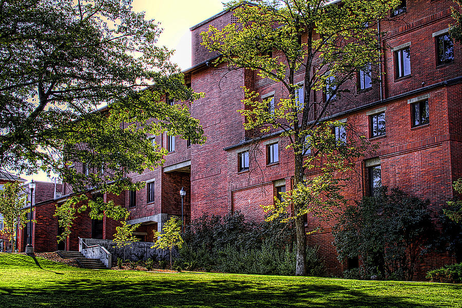 Avery Hall 3a Photograph by David Patterson