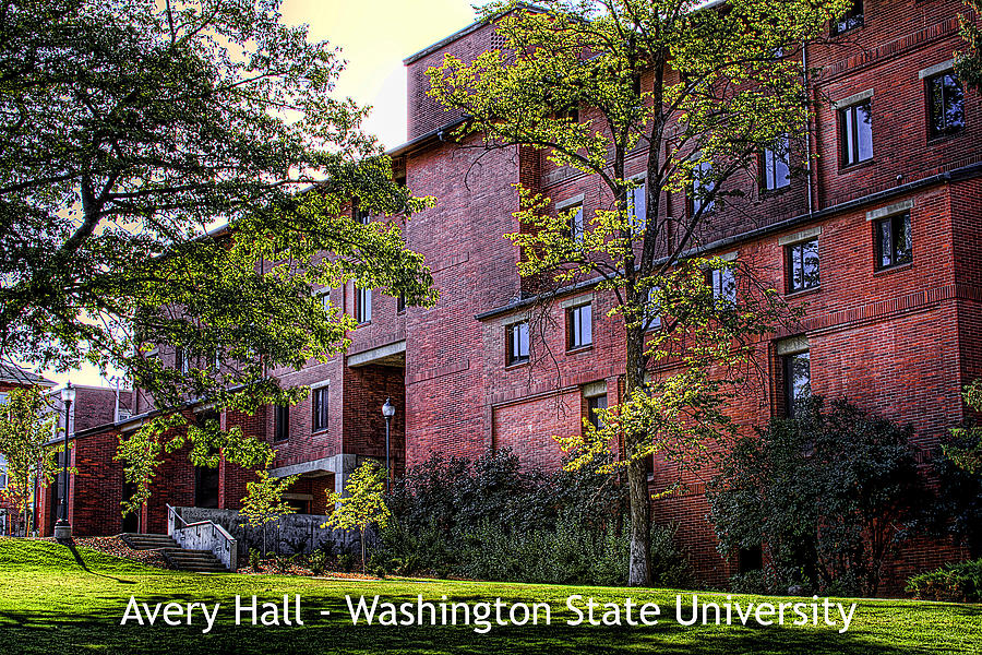 Avery Hall 3a1 Photograph by David Patterson