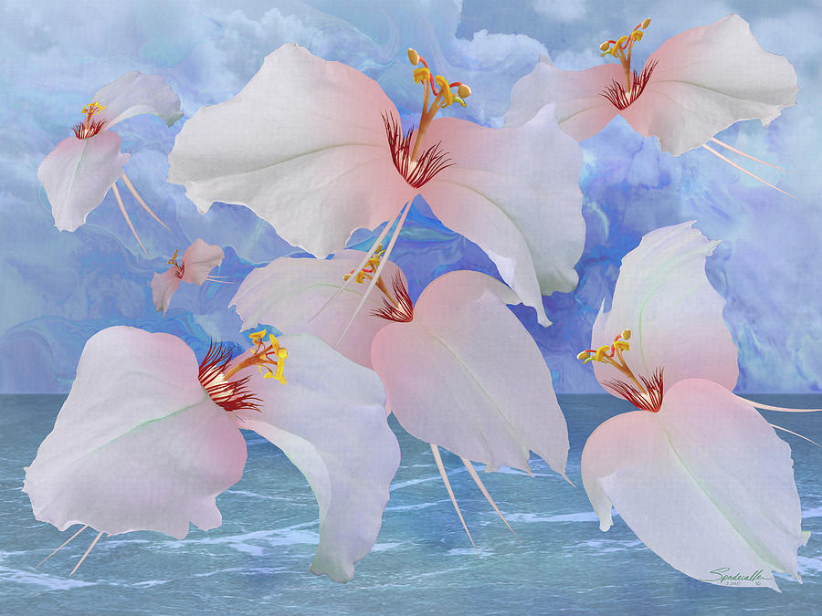 Avian Flowers Digital Art by M Spadecaller
