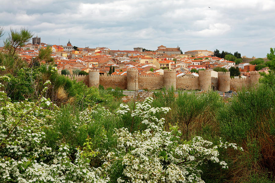 Avila Spain Photograph by Sally Weigand