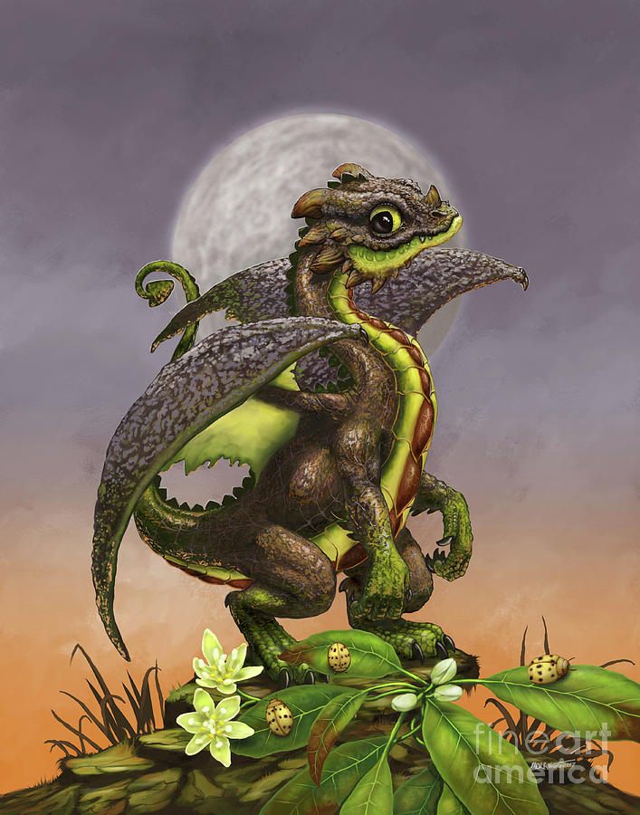 Dragon Digital Art - Avocado Dragon by Stanley Morrison