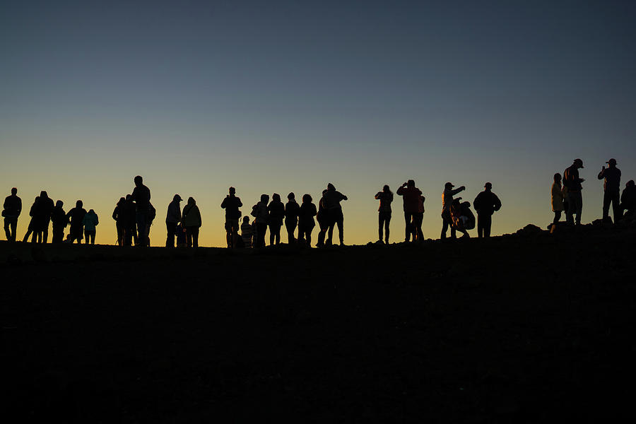 Silhouette Photograph - Awaiting sunset by Corey OHara Silhouette Photograph - Awaiting sunset by Corey OHara