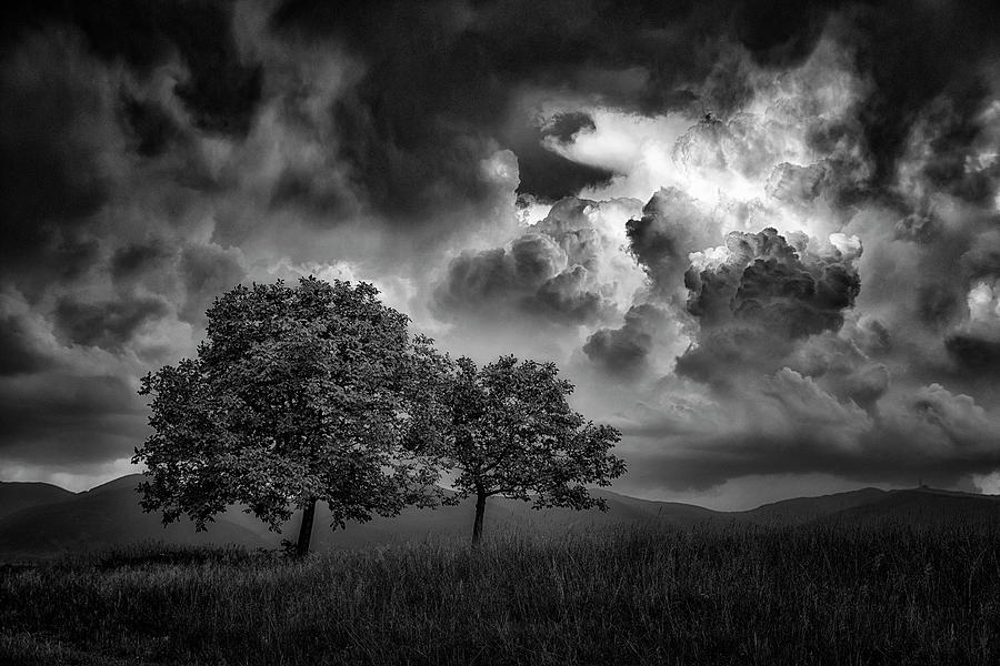 Nature Photograph - Awaiting the storm by Plamen Petkov