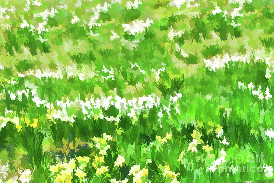 Awakening Spring Abstract Photograph by Regina Geoghan