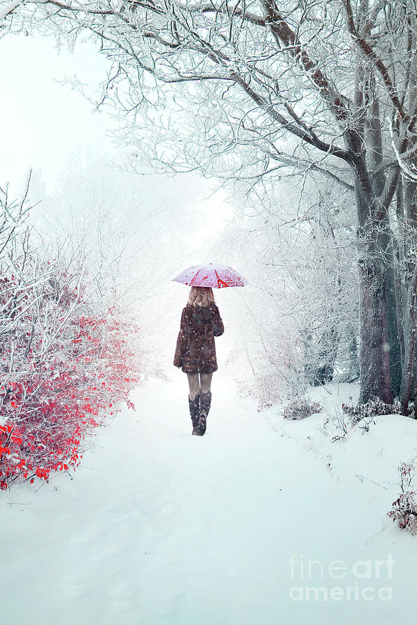 Awaken Into Winter Photograph by Evelina Kremsdorf